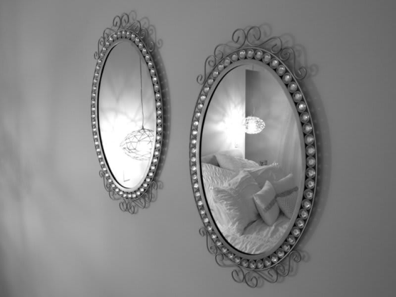 mirror_mirror_jan_21_one